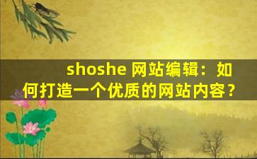 shoshe 网站编辑：如何打造一个优质的网站内容？